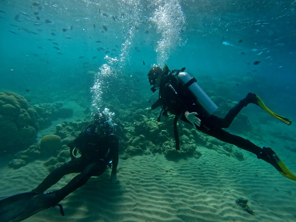 Foto de la pareja 13