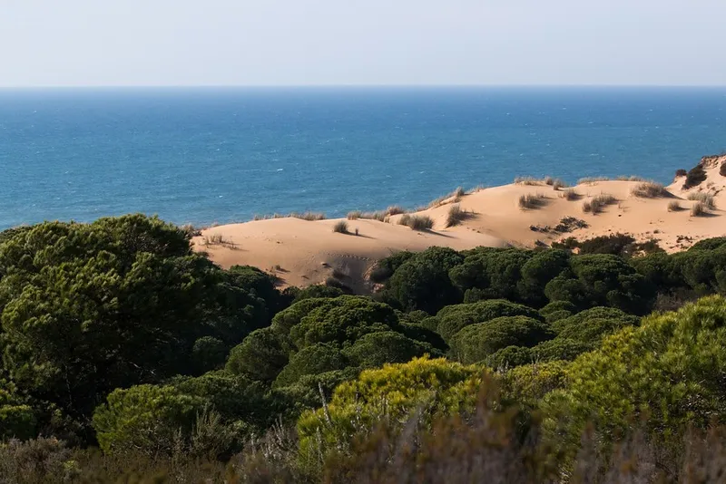Parque Nacional de Doñana